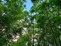 -晓港公园
