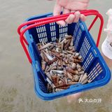 假期去哪玩？到湛江南三岛看海刮螺去