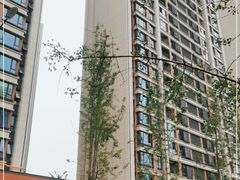 -中南·融创玖华台