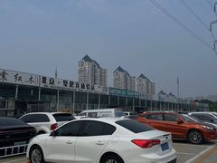 -朝来春花卉市场