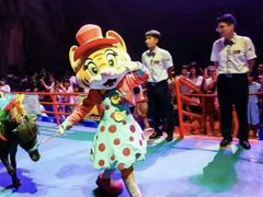 -广州长隆国际大马戏