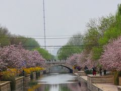 -海棠花溪(元大都城垣遗址公园)