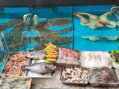 -中苑海韵