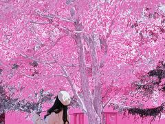 -长春世界雕塑园冰雪艺术天地