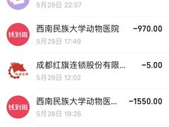 -成都民大动物医院