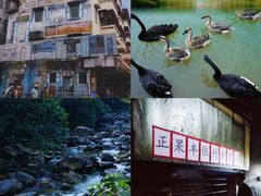 -广州白江湖森林公园