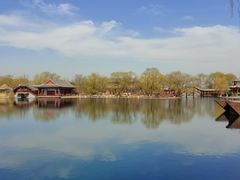 -百脉泉景区