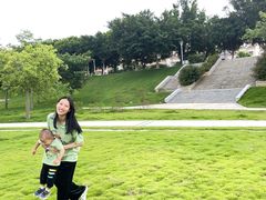 -风云岭森林公园