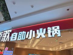 -龍歌自助小火锅(崂山丽达店)