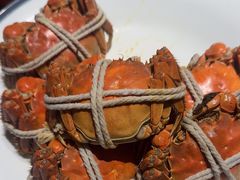 -杨氏青龙虾·羊肉季(金盛路总店)