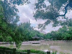 -汇龙潭