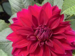 -庐山风景区花径公园