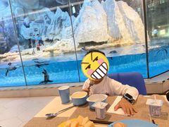 -帝企鹅自助餐厅•儿童岛•真企鹅(长隆企鹅酒店)