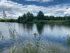 -塞罕坝国家级自然保护区