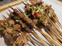 -山野的朋友露营炭火烤肉