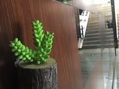 -健龙森俱乐部·游泳·健身·羽毛球综合体育馆