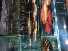 -稻香酒家(天河城店)