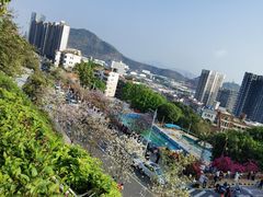 -小南山公园