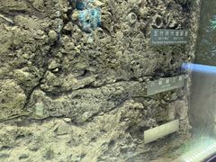 -南京圣和府邸豪华精选酒店