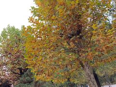 -泰安地下龙宫景区