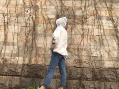 -石家庄市植物园