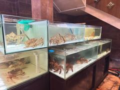 -樱之盛宴·蟹料理海鲜自助(前进大街店)