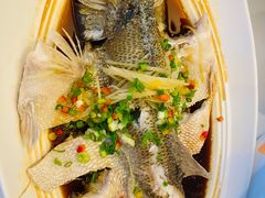 清蒸鲈鱼-眉州东坡(博雅店)