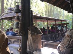 -奥兰多迪士尼动物王国乐园