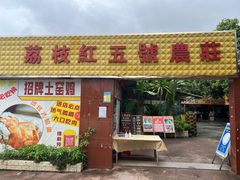 -荔枝红五号农庄