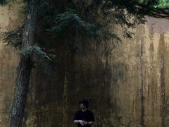 -天目山大树王景区