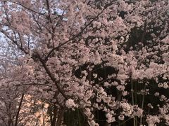 -湖滨客舍·湖北菜