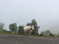 -灵山