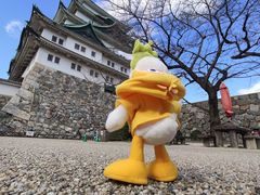 -名古屋城