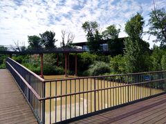 -白鹭湾湿地公园