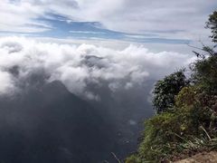 -霍顿平原国家公园