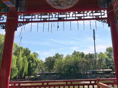 -尚庄度假村·庭台树下·户外烧烤·团建CS·轰趴营地(上庄水库店)