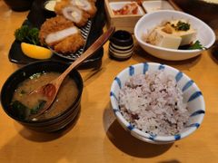 -胜博殿日式炸猪排(西红门店)