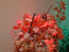 -恒坤北纬42度温泉洗浴(公园路店)