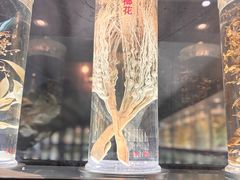 -广东中医药博物馆
