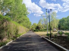 -黑龙江省森林植物园