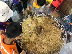 -东浩兰生上海世博展览馆