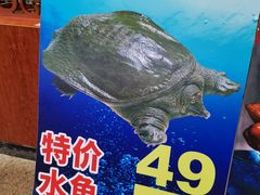 -花好悦园酒家(大石店)
