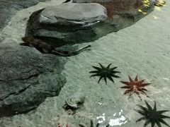 -福州罗源湾海洋世界旅游区