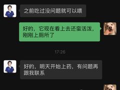 -伟伟宠物医院·CT影像中心·瑞派犬猫综合性门诊(汉口总院)