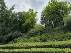 -成飞公园
