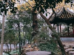 -秋霞圃
