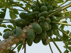 -任达丞国农庄(任达山庄店)