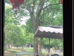 -苏州太湖湖滨国家湿地公园
