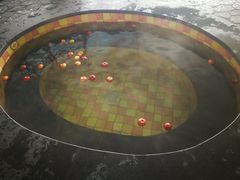 -南宫温泉水世界