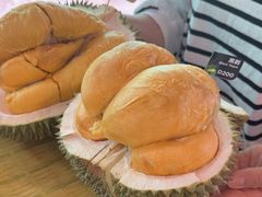 -榴莲BB 四季果园